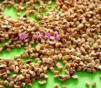 ��(y��u)�|(zh��)���Қ������Қ�(���ͣ������Қ��w��